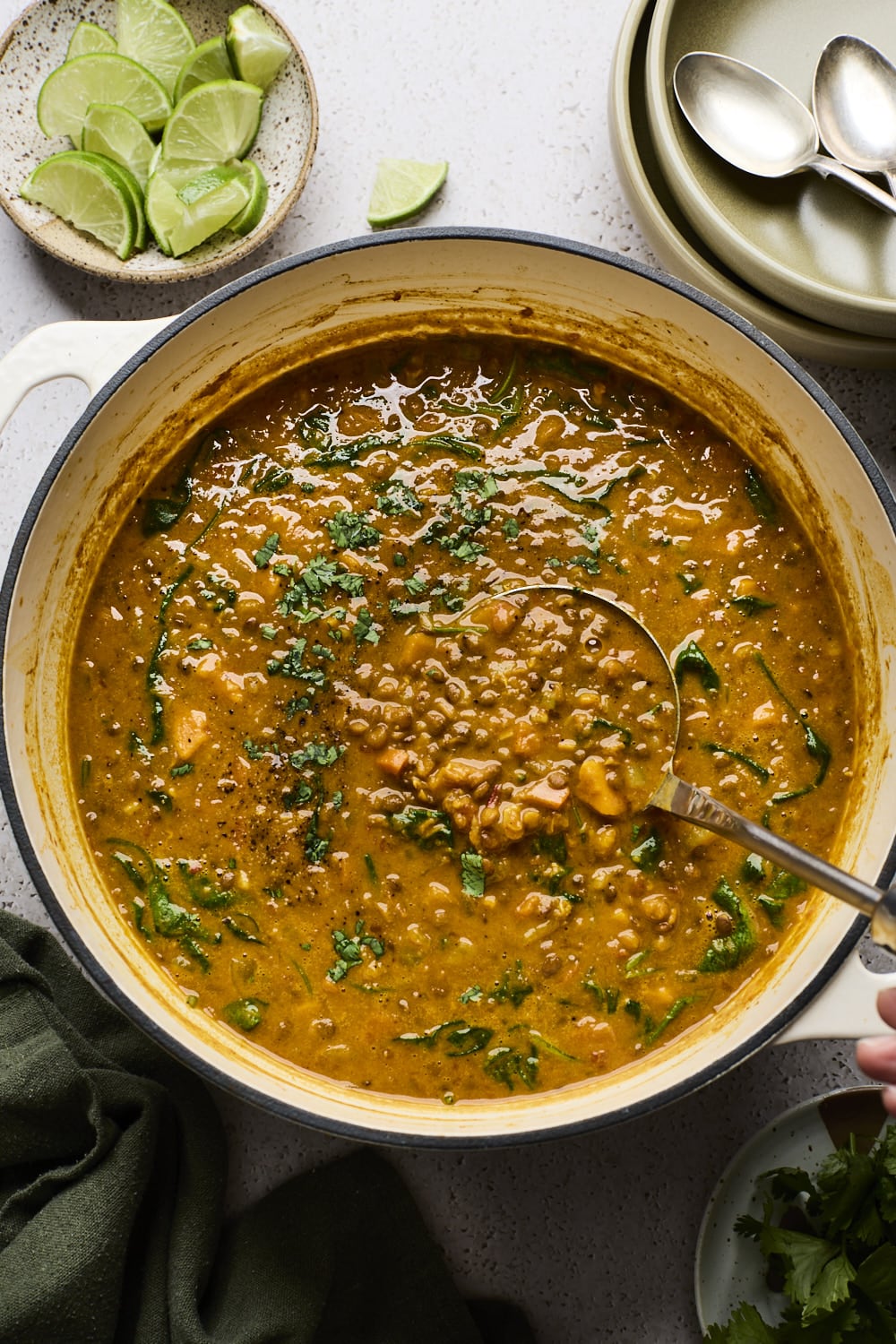 Spiced Lentil Soup