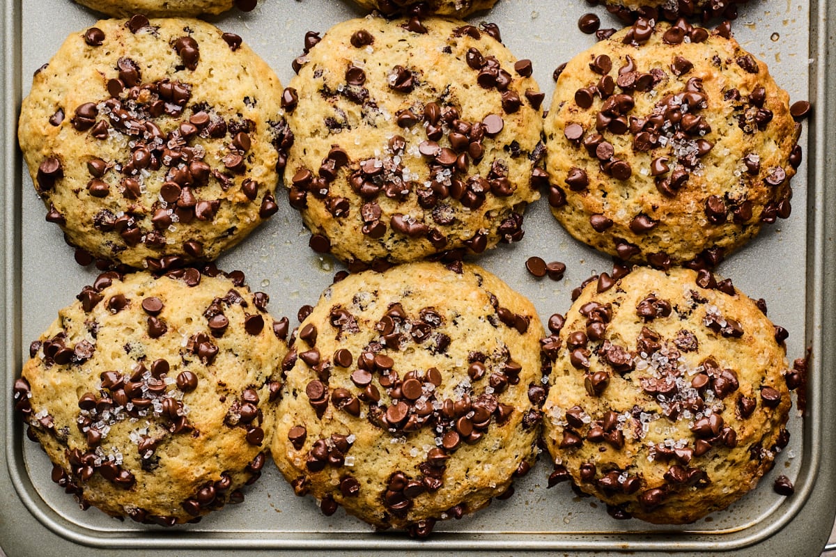 Chocolate Chip Muffins