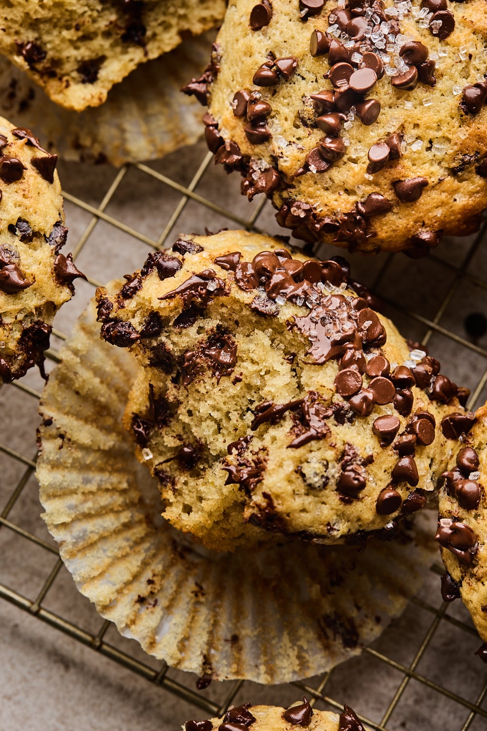 Chocolate Chip Muffin With A Bite