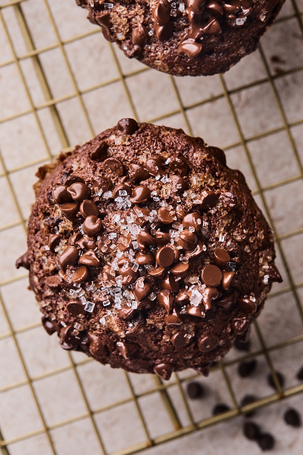 Double Chocolate Muffins